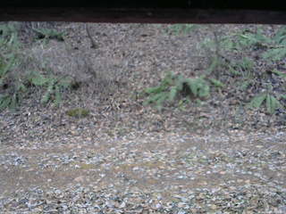 長野県菅平高原 ゆたか山荘 南側 2025/11/23 15:30