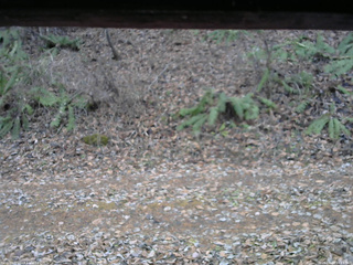 長野県菅平高原 ゆたか山荘 南側 2025/11/23 15:45