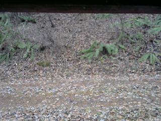 長野県菅平高原 ゆたか山荘 南側 2025/11/23 16:00