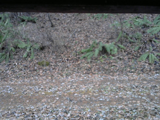 長野県菅平高原 ゆたか山荘 南側 2025/11/23 16:30