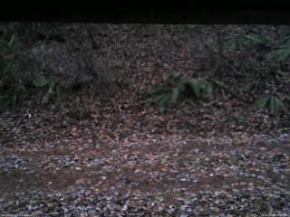 長野県菅平高原 ゆたか山荘 南側 2025/11/23 16:45