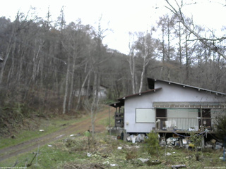 長野県菅平高原 ゆたか山荘 西側(坂上) 2025/11/24 14:00