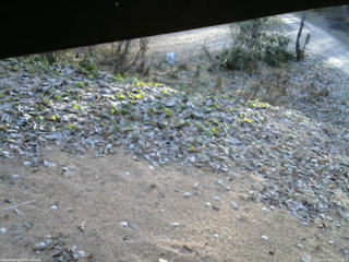 長野県菅平高原 ゆたか山荘 駐車場 2025/11/24 07:15