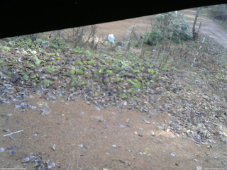 長野県菅平高原 ゆたか山荘 駐車場 2025/11/24 09:45
