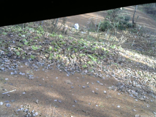 長野県菅平高原 ゆたか山荘 駐車場 2025/11/24 11:45