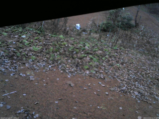 長野県菅平高原 ゆたか山荘 駐車場 2025/11/24 16:45