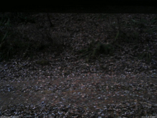 長野県菅平高原 ゆたか山荘 南側 2025/11/25 06:15