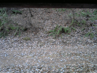 長野県菅平高原 ゆたか山荘 南側 2025/11/25 06:30