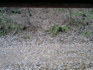 長野県菅平高原 ゆたか山荘 南側 2025/11/25 06:45