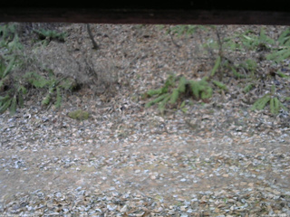 長野県菅平高原 ゆたか山荘 南側 2025/11/25 07:00