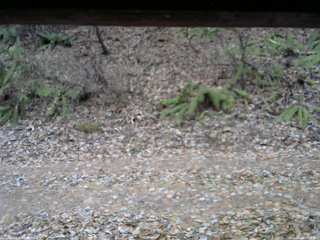 長野県菅平高原 ゆたか山荘 南側 2025/11/25 07:15