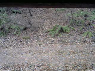 長野県菅平高原 ゆたか山荘 南側 2025/11/25 07:30