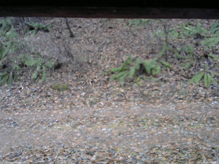 長野県菅平高原 ゆたか山荘 南側 2025/11/25 07:45