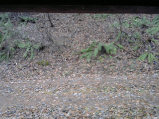 長野県菅平高原 ゆたか山荘 南側 2025/11/25 08:00
