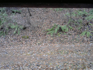 長野県菅平高原 ゆたか山荘 南側 2025/11/25 08:15