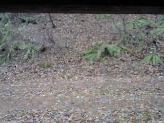 長野県菅平高原 ゆたか山荘 南側 2025/11/25 08:30