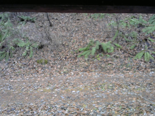 長野県菅平高原 ゆたか山荘 南側 2025/11/25 08:45