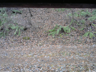 長野県菅平高原 ゆたか山荘 南側 2025/11/25 09:00