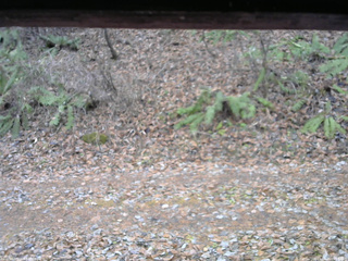 長野県菅平高原 ゆたか山荘 南側 2025/11/25 09:15