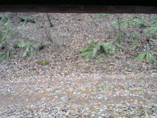 長野県菅平高原 ゆたか山荘 南側 2025/11/25 09:30