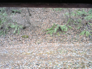 長野県菅平高原 ゆたか山荘 南側 2025/11/25 09:45