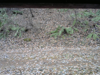 長野県菅平高原 ゆたか山荘 南側 2025/11/25 10:00