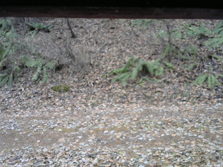 長野県菅平高原 ゆたか山荘 南側 2025/11/25 10:15