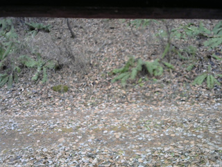 長野県菅平高原 ゆたか山荘 南側 2025/11/25 10:30