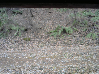 長野県菅平高原 ゆたか山荘 南側 2025/11/25 10:45