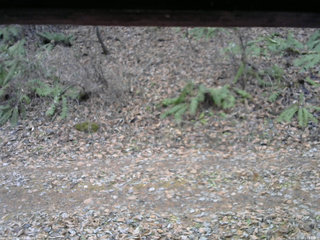 長野県菅平高原 ゆたか山荘 南側 2025/11/25 11:00