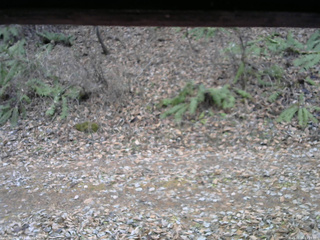 長野県菅平高原 ゆたか山荘 南側 2025/11/25 11:15