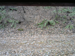 長野県菅平高原 ゆたか山荘 南側 2025/11/25 11:30