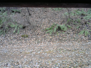 長野県菅平高原 ゆたか山荘 南側 2025/11/25 11:45