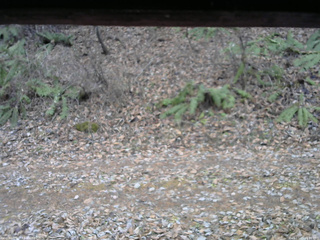 長野県菅平高原 ゆたか山荘 南側 2025/11/25 12:00