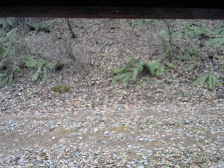 長野県菅平高原 ゆたか山荘 南側 2025/11/25 12:15