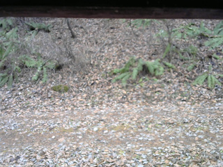 長野県菅平高原 ゆたか山荘 南側 2025/11/25 12:30