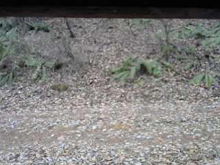 長野県菅平高原 ゆたか山荘 南側 2025/11/25 12:45