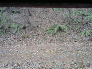 長野県菅平高原 ゆたか山荘 南側 2025/11/25 14:00