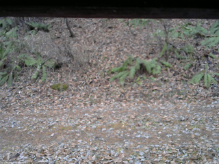 長野県菅平高原 ゆたか山荘 南側 2025/11/25 16:15