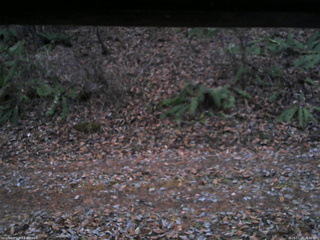 長野県菅平高原 ゆたか山荘 南側 2025/11/25 16:45