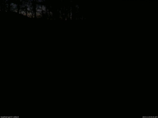 長野県菅平高原 ゆたか山荘 東側(坂下) 2025/11/25 05:45