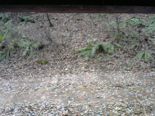 長野県菅平高原 ゆたか山荘 南側 2025/11/26 10:30