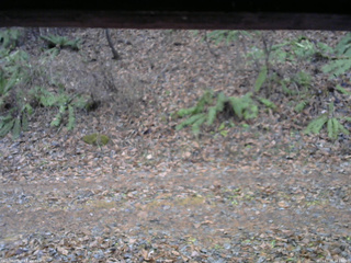 長野県菅平高原 ゆたか山荘 南側 2025/11/26 14:15