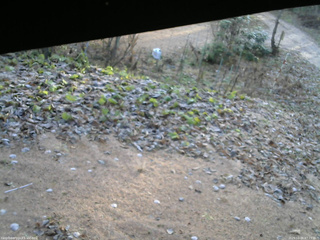 長野県菅平高原 ゆたか山荘 駐車場 2025/11/26 07:15