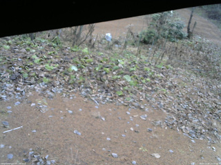 長野県菅平高原 ゆたか山荘 駐車場 2025/11/26 10:30