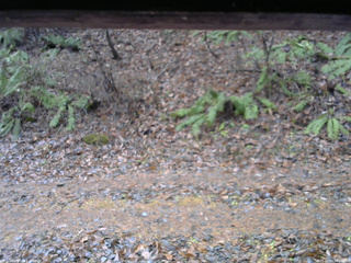 長野県菅平高原 ゆたか山荘 南側 2025/11/28 08:00