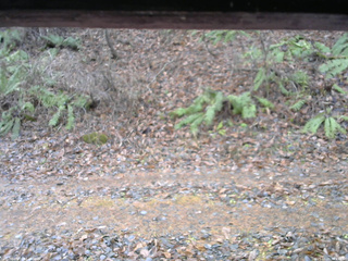 長野県菅平高原 ゆたか山荘 南側 2025/11/28 09:45
