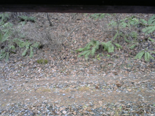 長野県菅平高原 ゆたか山荘 南側 2025/11/28 11:30