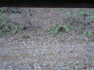 長野県菅平高原 ゆたか山荘 南側 2025/11/28 14:15