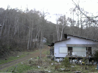 長野県菅平高原 ゆたか山荘 西側(坂上) 2025/11/28 14:00
